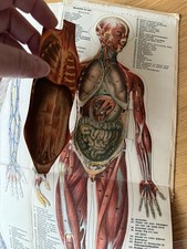 Buch Neuer Hausschatz der