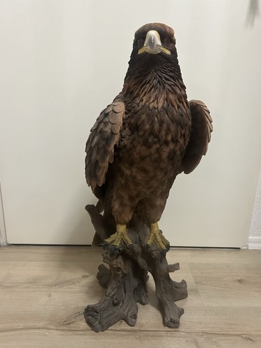 Majestätischen steinadler auf - majestätischen,