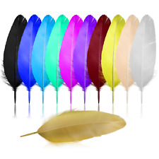 Große Federn Bastelfeder Bunt