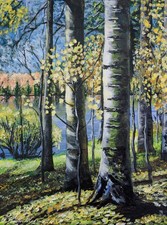 Eigenes Acrylbild. Leinwand.ungerahm 30x40cm Birkenbäume im Herbst.Unikat.