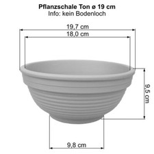 Pflanzschale Pflanzkübel