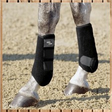 Eskadron pro dressage - eskadron,