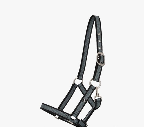 Qhp halfter fohlen collection - qhp,