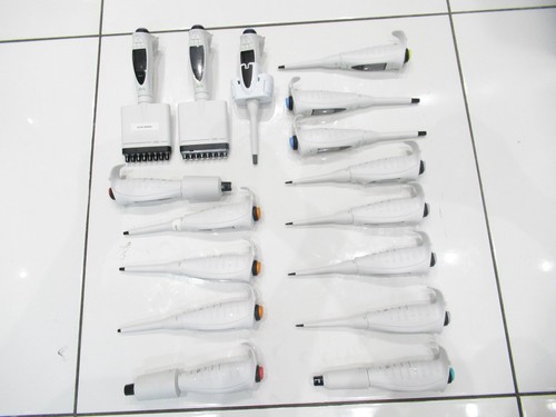 Sartorius picus 10 - x,