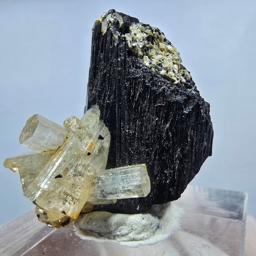 Seltene goshenit auf - (beryl),