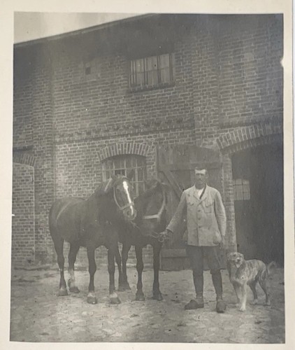 Foto bauer mit pferden hund - foto-ak,