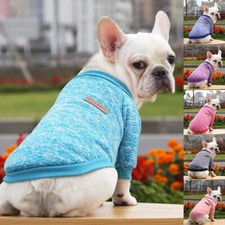 Winter Warme Haustier Hund