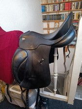 Horse and passion - horse, two