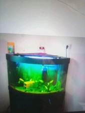 Eckaquarium Schwarz mit