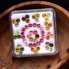 VVS 55 Stück Natürlich