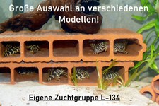 Höhle für Welse u.a. Fische