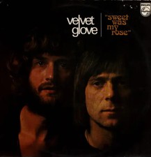 Velvet Glove Sweet Was My Rose