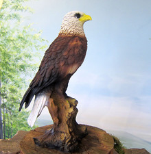 Weißkopfseeadler H:37cm Figur
