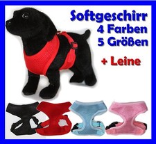 Softgeschirr + 5m Leine Welpe