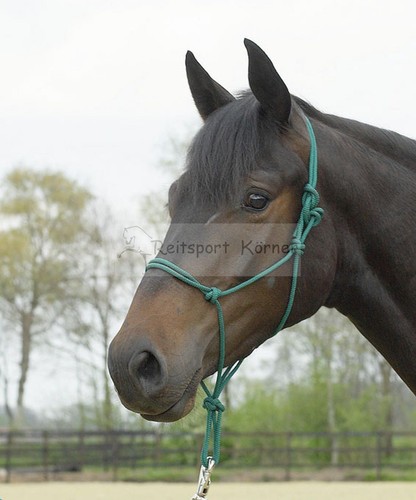 Busse knotenhalfter - busse,