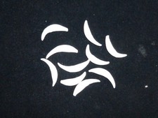 10 Fuchshaken / Fuchszähne /