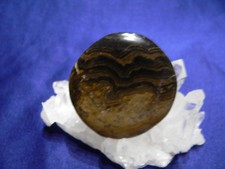 Stromatolith,Scheibenstein,fre