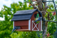 Vogelfutterhaus Scheune Vogelhaus Schwedenscheune Hängend Futterstation Holz Rot
