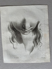 Jean-Francois Poletnich: Kopf