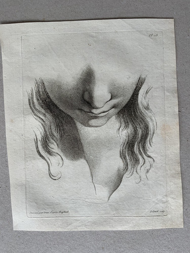 Jean francois poletnich - jean-francois, kopf