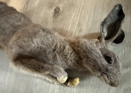 Soft mount grey rabbit - soft,
