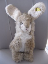 Steiff Hase mit Knopf und