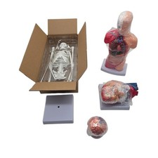 VEVOR 4-teilige Modelle des