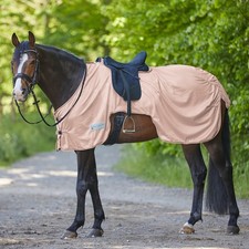 Pferde Fliegenausreitdecke Protect Waldhausen hellrosa 125 cm