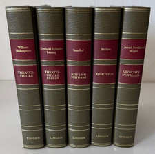 5 Klassiker Lederoptik –