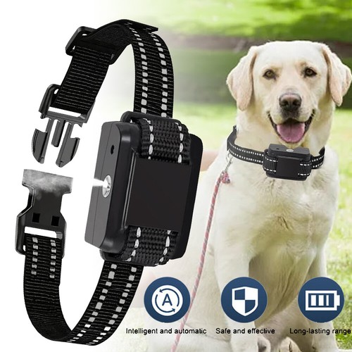 Hundehalsband antibelle - hundehalsband,