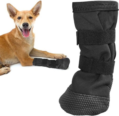 Hundeschuhe pfotenschutz - hundeschuhe,