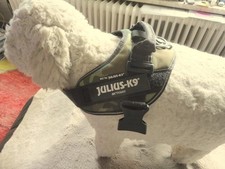 Julius K9 Hundegeschirr IDC Powergeschirr Größe M/0 neuwertig