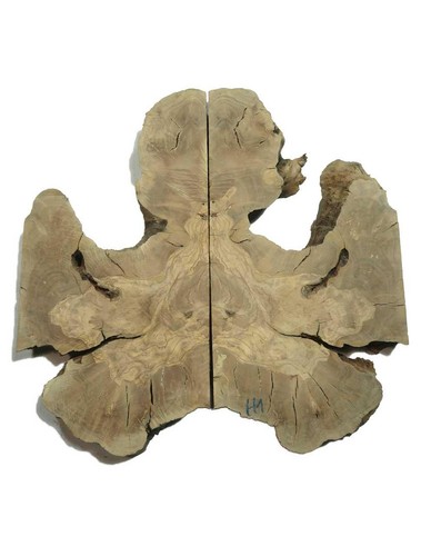 Oliven wurzelholz holz für - 2x,