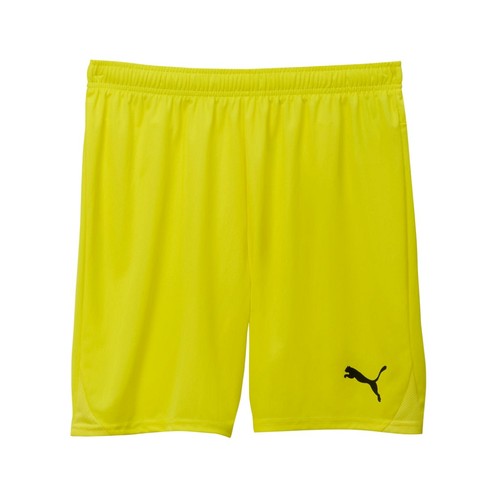 Puma teamgoal shorts - puma,