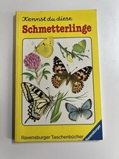 Kennst du diese Schmetterlinge