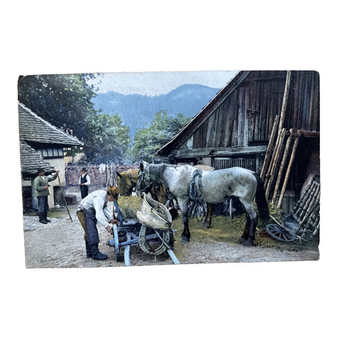 Ansichtskarte postkarte pferde - postkarte,