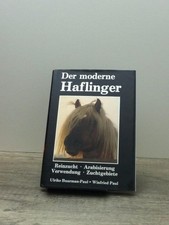 Der moderne Haflinger