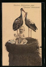 Klapperstorch-Paar mit Baby im Nest, Ansichtskarte 