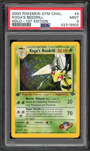 Koga beedrill 132 - koga's, 1