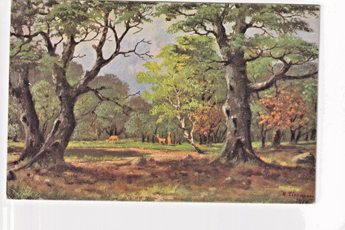 Hirsche wald siesmayer - ak,