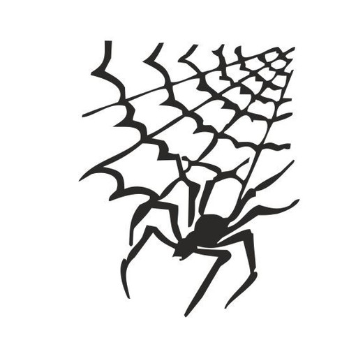 Spinnennetz spinne spider - spinne,