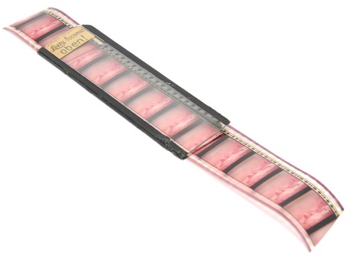 Leitz focomat negative glass - focomat,