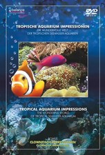 Tropische aquarium - tropische,