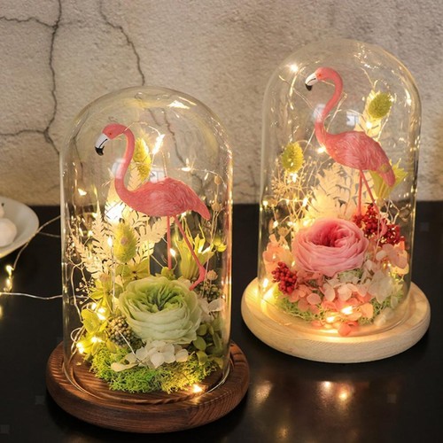 Terrarium mit glaskuppel als - terrarium,