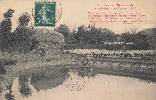 Normannische szenen auf - normannische,