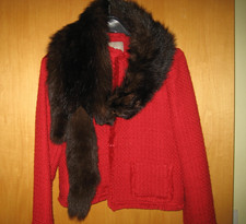 Schwarzfuchs ( Polarfuchs ? )