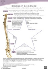Anatomie Poster Hund