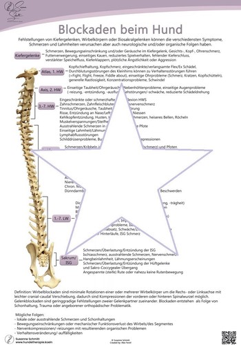 Anatomie poster hund - poster,