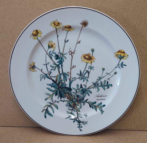 Botanica villeroy boch - botanica, &
