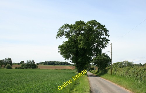 Foto 6x4 star lane tivetshall - foto,